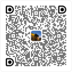钉钉客服二维码